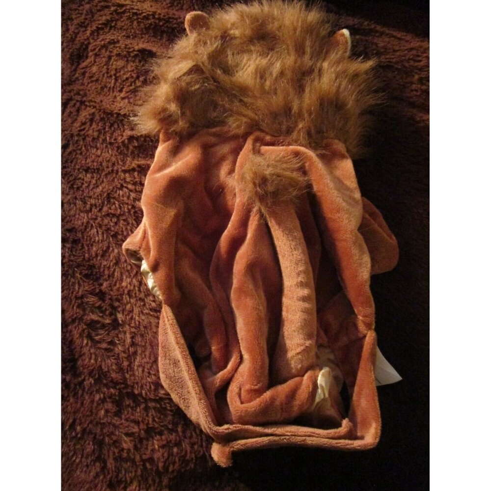 Spooky Village Lion Pet Dog Halloween Costume Small